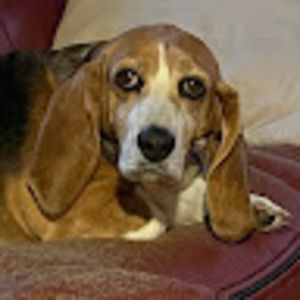 Meet your Posher, Stacia